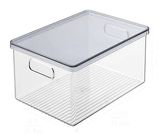 Plastic Storage Organizer Bins with Smoked Lids (2-Pack)