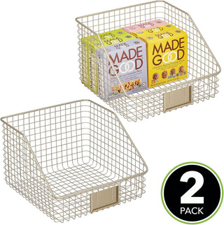 Slanted Wire Basket (2-Pack) - Satin Finish