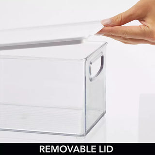 Organizer Bin with Handles and Lid (2-Pack)