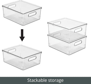 Linus Organizer Bin Storage with Lid & Handles (4-Pack) - Clear