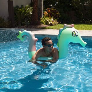 Seahorse Ride-On Pool Noodle