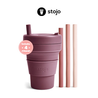 Collapsible Travel Cup with Reusable Straws Included (2-Pack)