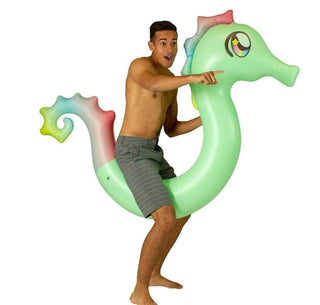 Seahorse Ride-On Pool Noodle